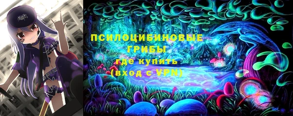 марки lsd Лабытнанги