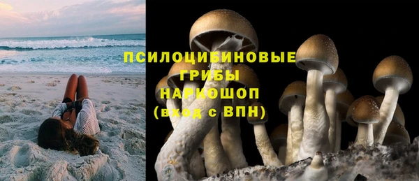 mdpv Куйбышев