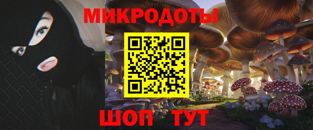 Псилоцибиновые грибы Psilocybine cubensis Калуга