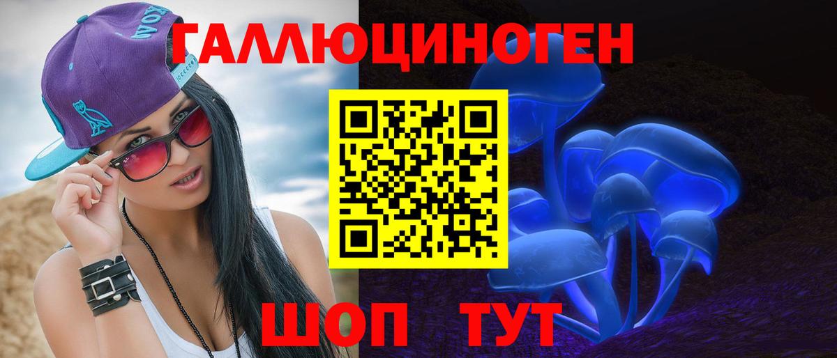 Псилоцибиновые грибы Cubensis  где можно купить   Калуга 